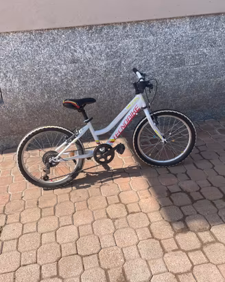 Bicicletta bambino