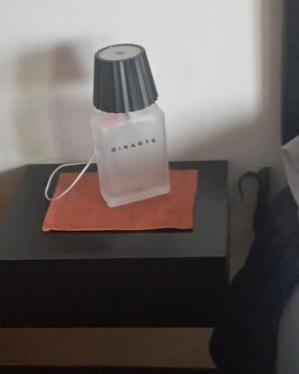 bottiglie vetro massiccio 