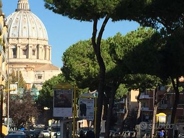 Roma centro - San Pietro Vaticano