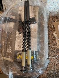 Pompanti forcelle monster 1200 821