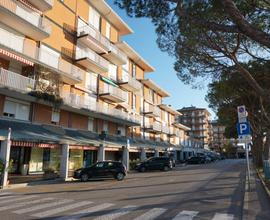 Caravella 2000, monolocale vista darsena