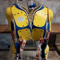 pettorina motocross vintage Gaston rahier