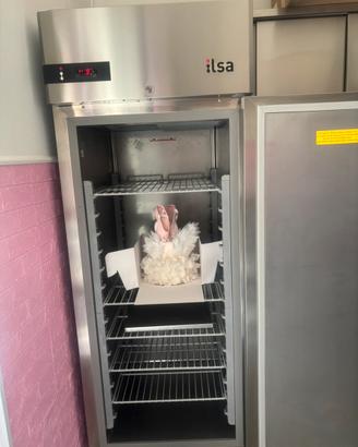 frigo professionale lt 700