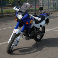 Honda Dominator