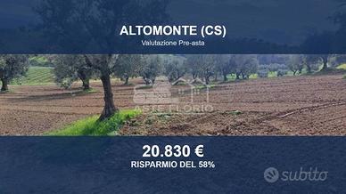 Immobile in asta di 39390 m² a Altomonte