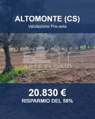 Immobile in asta di 39390 m² a Altomonte