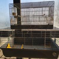 gabbie per animali vari