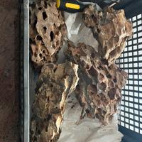 Pietre dragon stone acquario