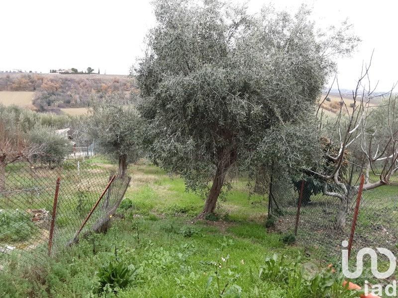 Rustico con terreno - Vista 5