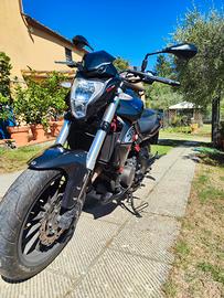 Benelli 302 bn
