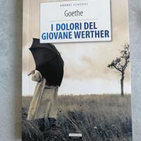 i dolori del giovane werther - goethe