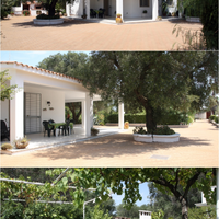 Villetta tra gli ulivi