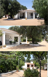 Villetta tra gli ulivi