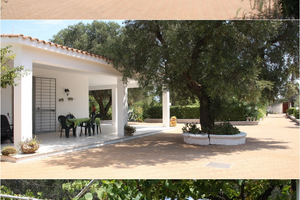 Villetta tra gli ulivi