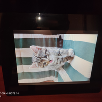 Cornice digitale Mediacom con telecomando