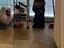Immagine 14