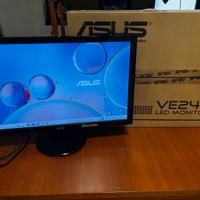 Monitor asus 24 pollici