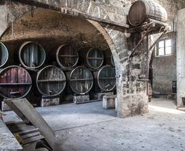 ARCHEOLOGIA INDUSTRIALE Cantina vinicola storica