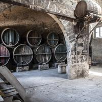 ARCHEOLOGIA INDUSTRIALE Cantina vinicola storica