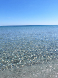 Giugno libero prezzi subito