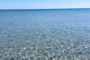 Giugno libero prezzi subito