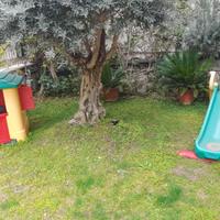 Casa chicco più scivolo