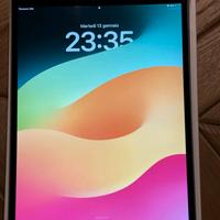 Apple iPad pro 10.5 2017 a1709 wifi + 4g lte 64gb