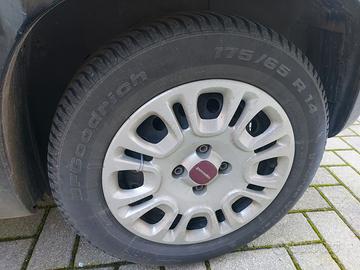 gomme panda