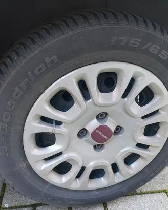 gomme panda
