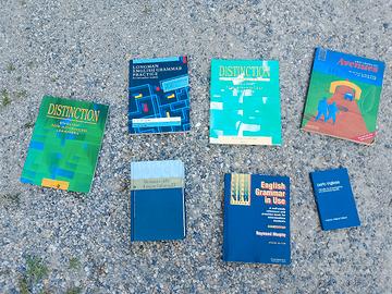 Lotto libri di grammatica inglese e dizionari