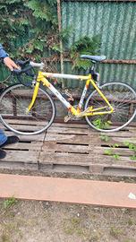 Bici da corsa Vektor usata