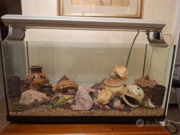 acquario