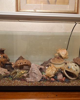 acquario