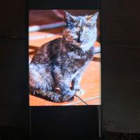 Honor magic 7 Lite 512 gb