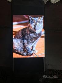 Honor magic 7 Lite 512 gb