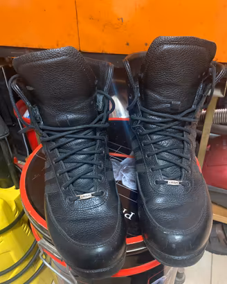 Anfibi Crispi numero 41