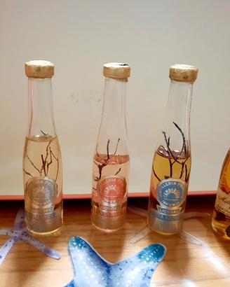 Lotto n.5 bottigliette mignon liquore distilleria