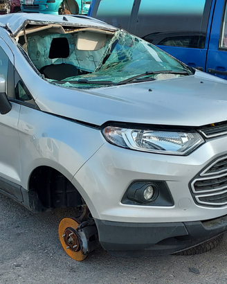 Ricambi Ford Ecosport 2016