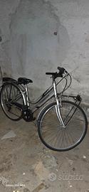 Bicicletta da passeggio 