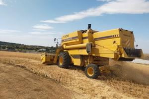 Mietitrebbia new holland tx 34