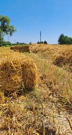 ballette di paglia 