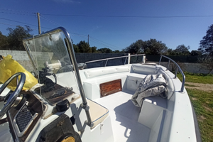 Saver 540 con motore Honda bf40a 4 tempi