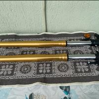 steli forcelle x-adv xadv 750