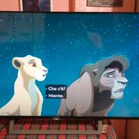 TV Sony - solo nella città di Foggia 