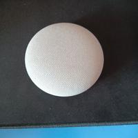 google nest mini 