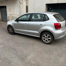 W polo