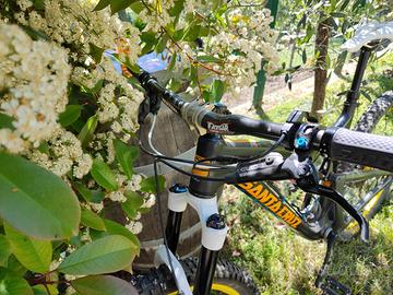 Santa Cruz Bronson