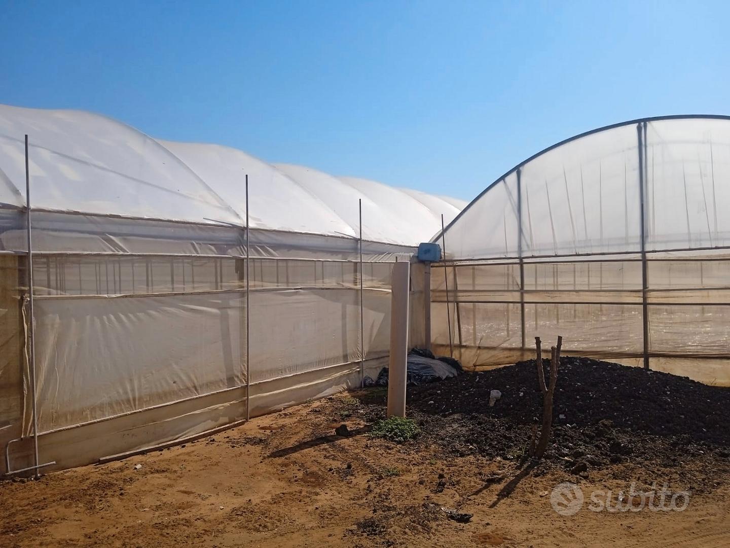 Azienda agricola in buone condizioni - Vista 3
