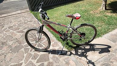 bicicletta per ragazzo