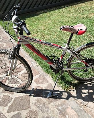 bicicletta per ragazzo